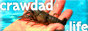 A web button with a photo of a hand holding a crawfish. "crawdad life" is written in white on top of the image.