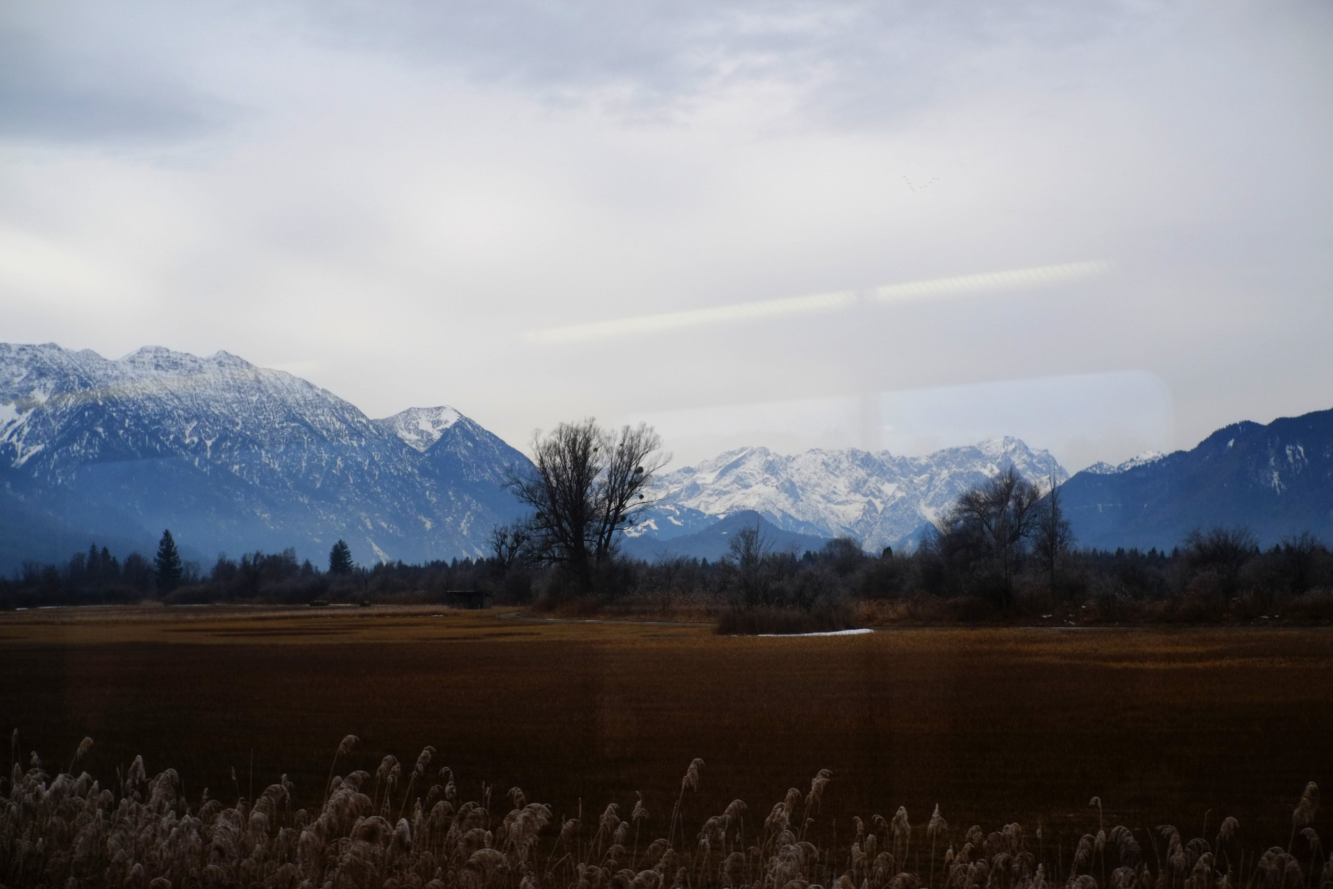 A photo of a winter field with dry yellow grass and high snowy mountains and grey sky in the background, taken through the train window.