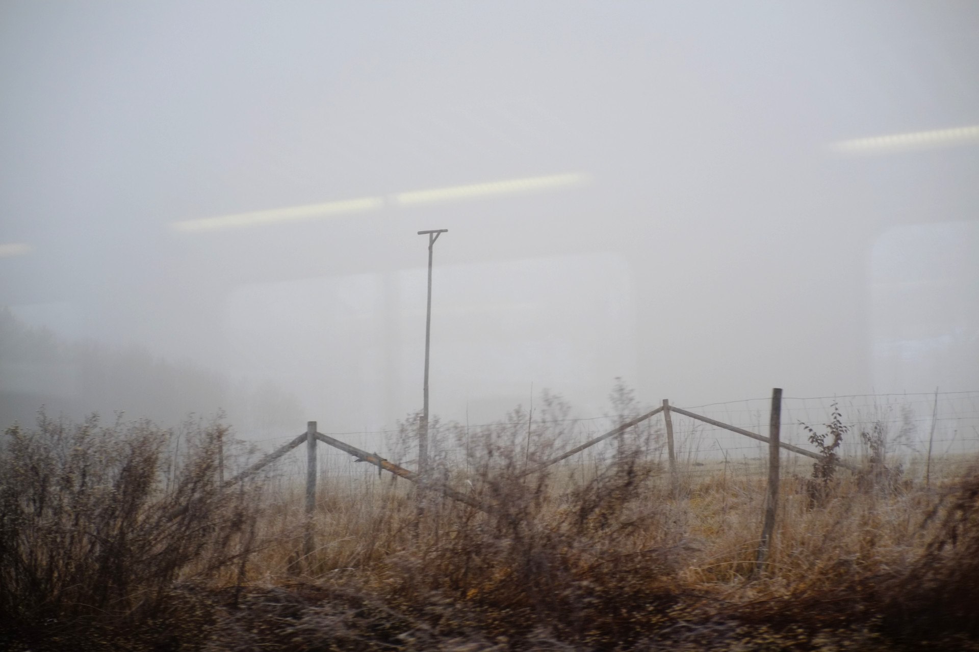 A photo of a foggy winter field with dry yellow grass and a wooden fence, taken through the train window.