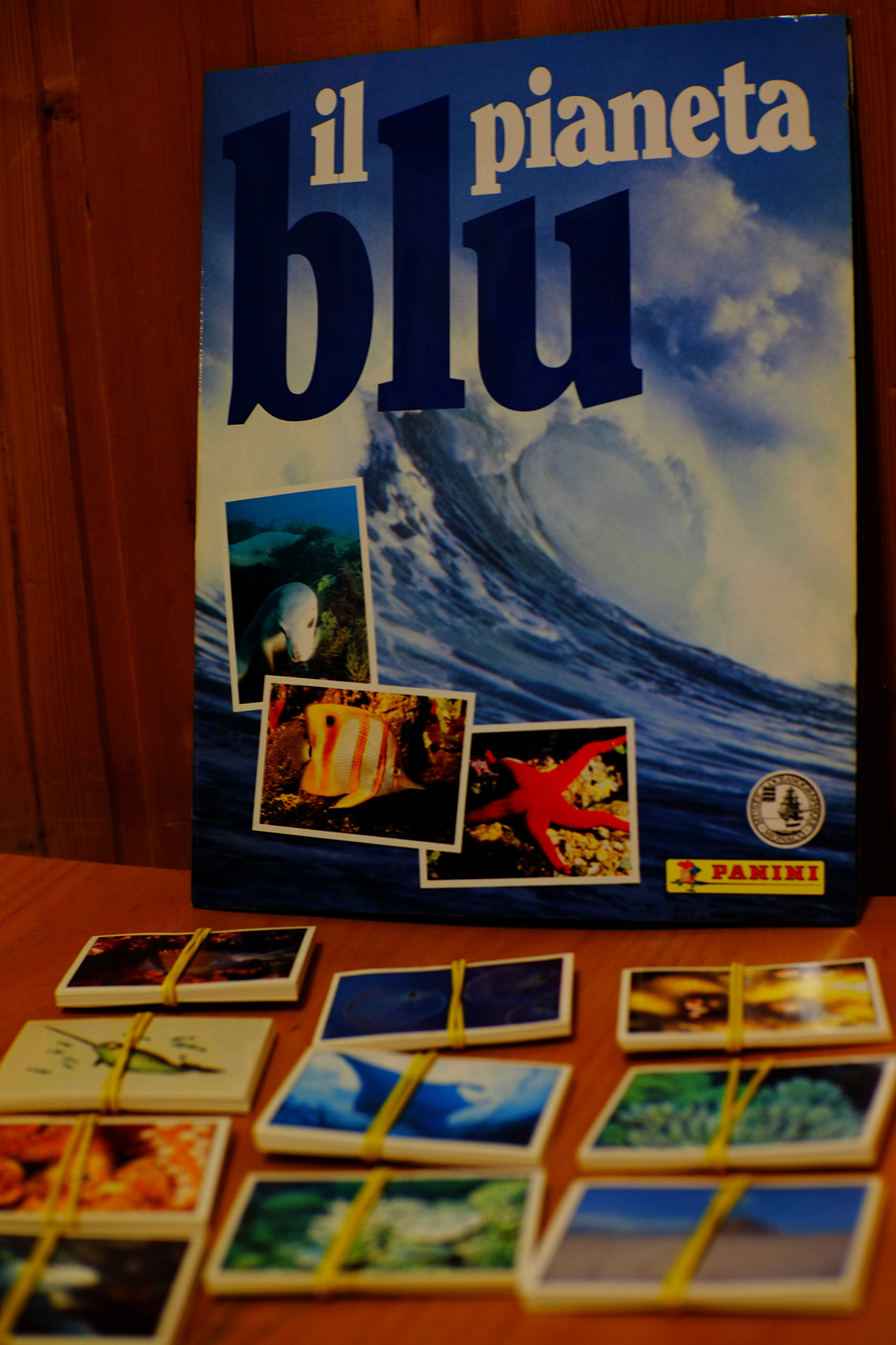 A photo featuring the sticker album with a big sea wave in the background and framed photos of starfish, sea dog, and a tall white fish with orange stripes in the foreground, and 10 sticker packs wrapped by yellow rubber bands lying in front of the album