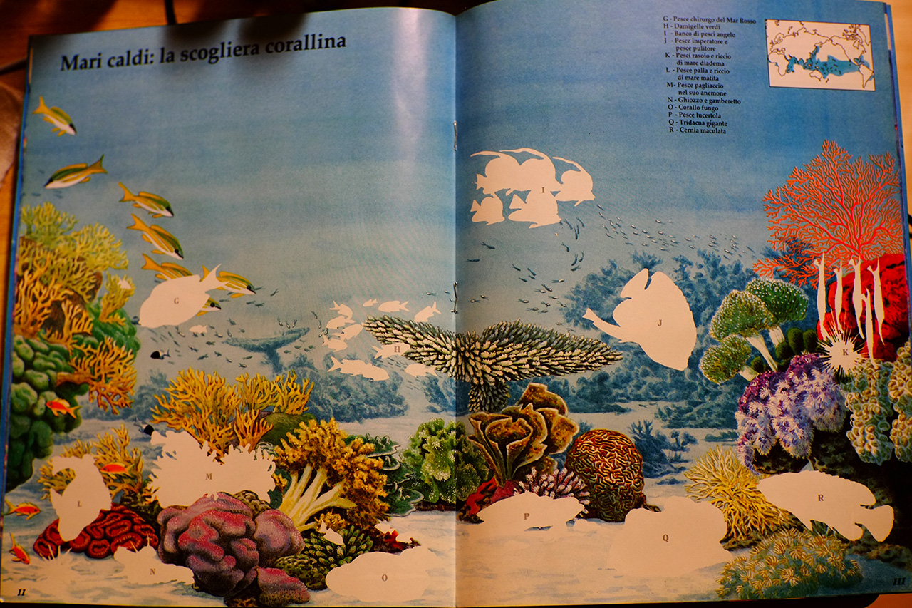 A photo of the album page featuring the illustration of a coral reef with white sand and empty white spaces in the places where the stickers of sea creatures should go