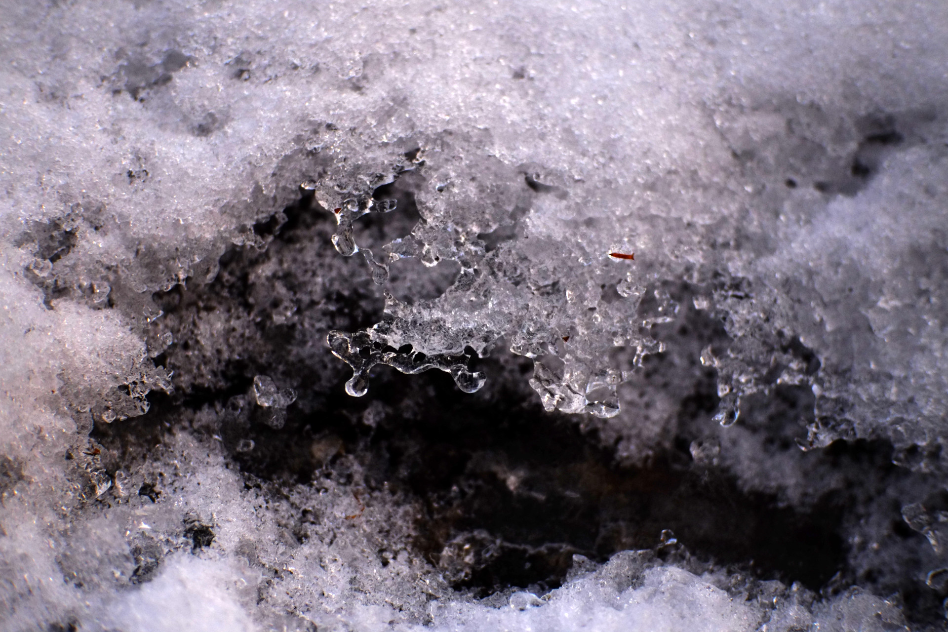 A photo of an indent in a thawing snow pile.